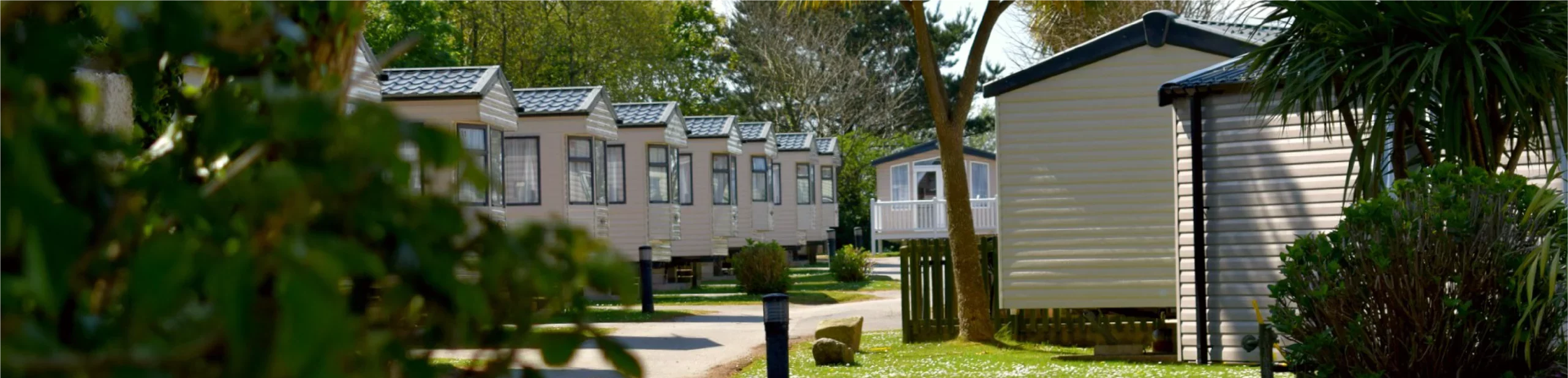 A row of modern mobile homes with grey roofs, neatly aligned in a sunny caravan park with lush green trees and a clear path running through.
