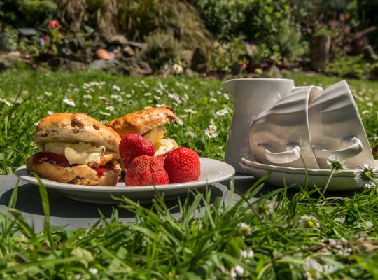 A Cornish Cream Tea laid out on grass