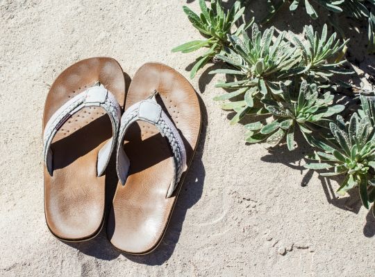 Pair of Brown flip flops on sand