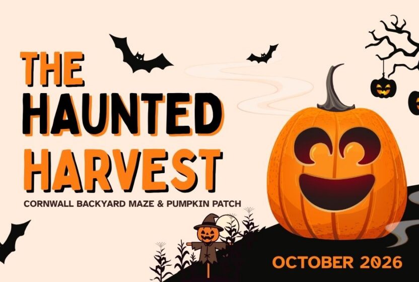 Cornwall Maze & Pumpkin Patch