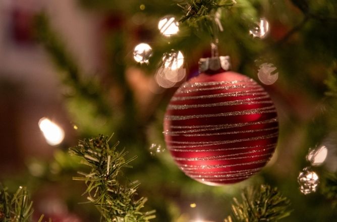 A red Christmas bauble hangs on a christmas tree.